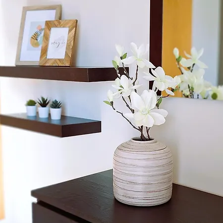 Sul House 阿尔布费拉